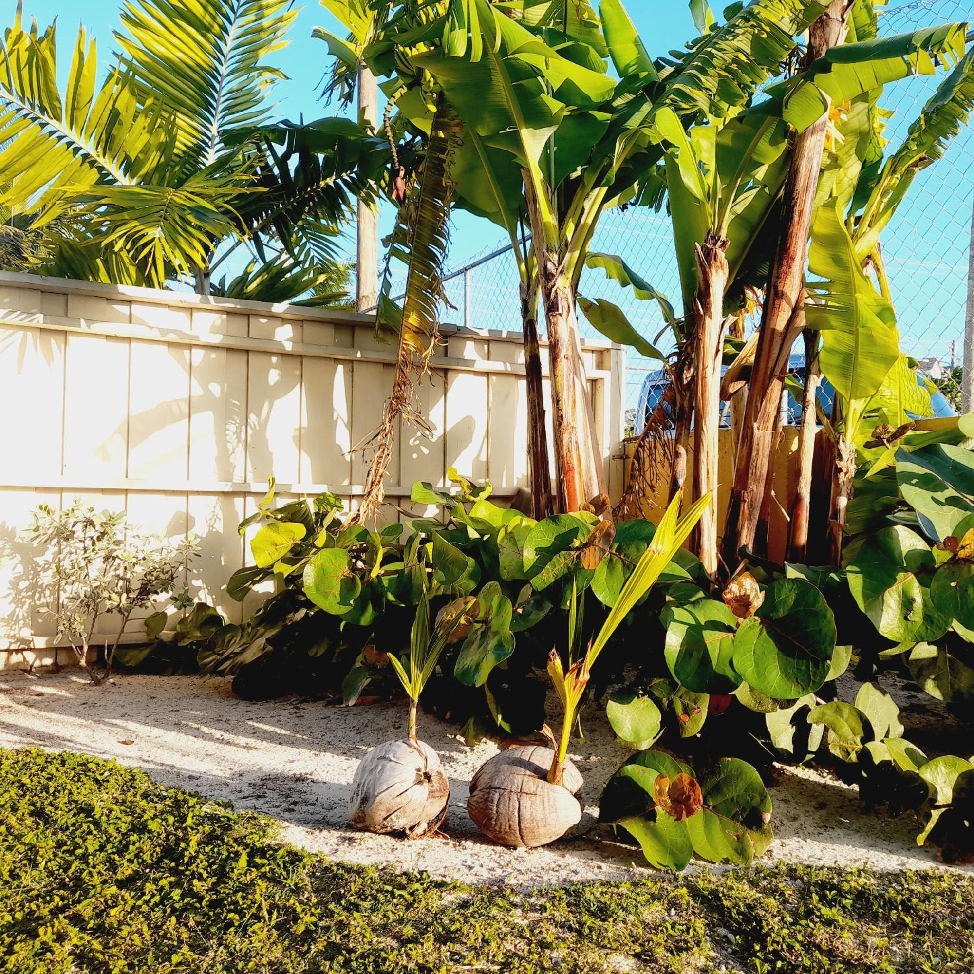 Villa By The Bay Nassau Exterior photo